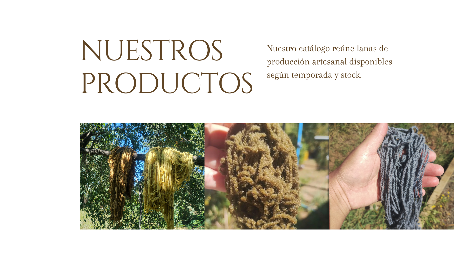 Nuestros Productos