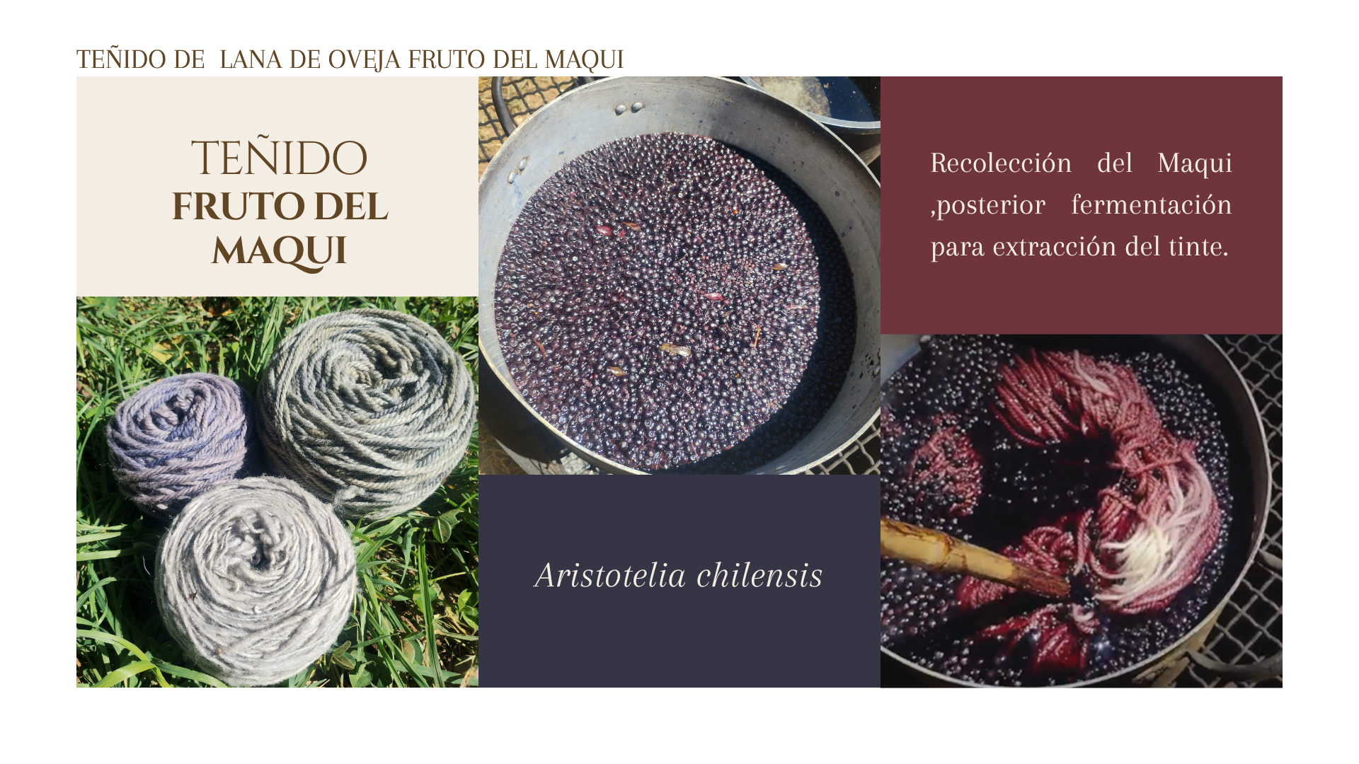 Teñido Fruto del Maqui