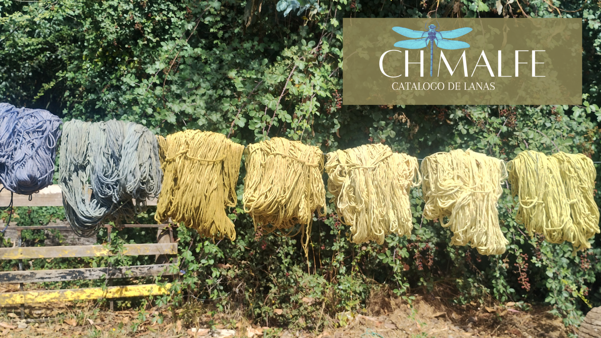 Chimalfe — Portada